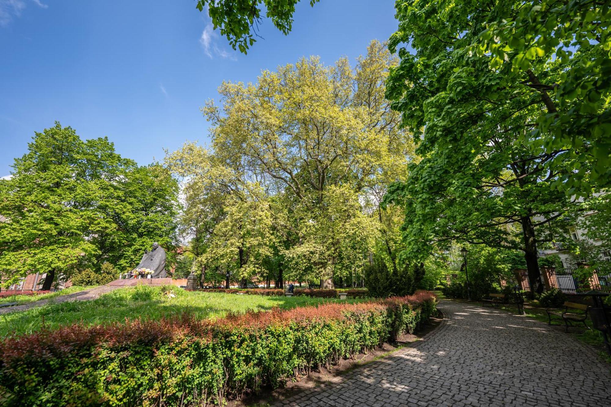 Wenecja Parking Gratis Moxy Te&Am Cracow Apartment Krakow Luaran gambar