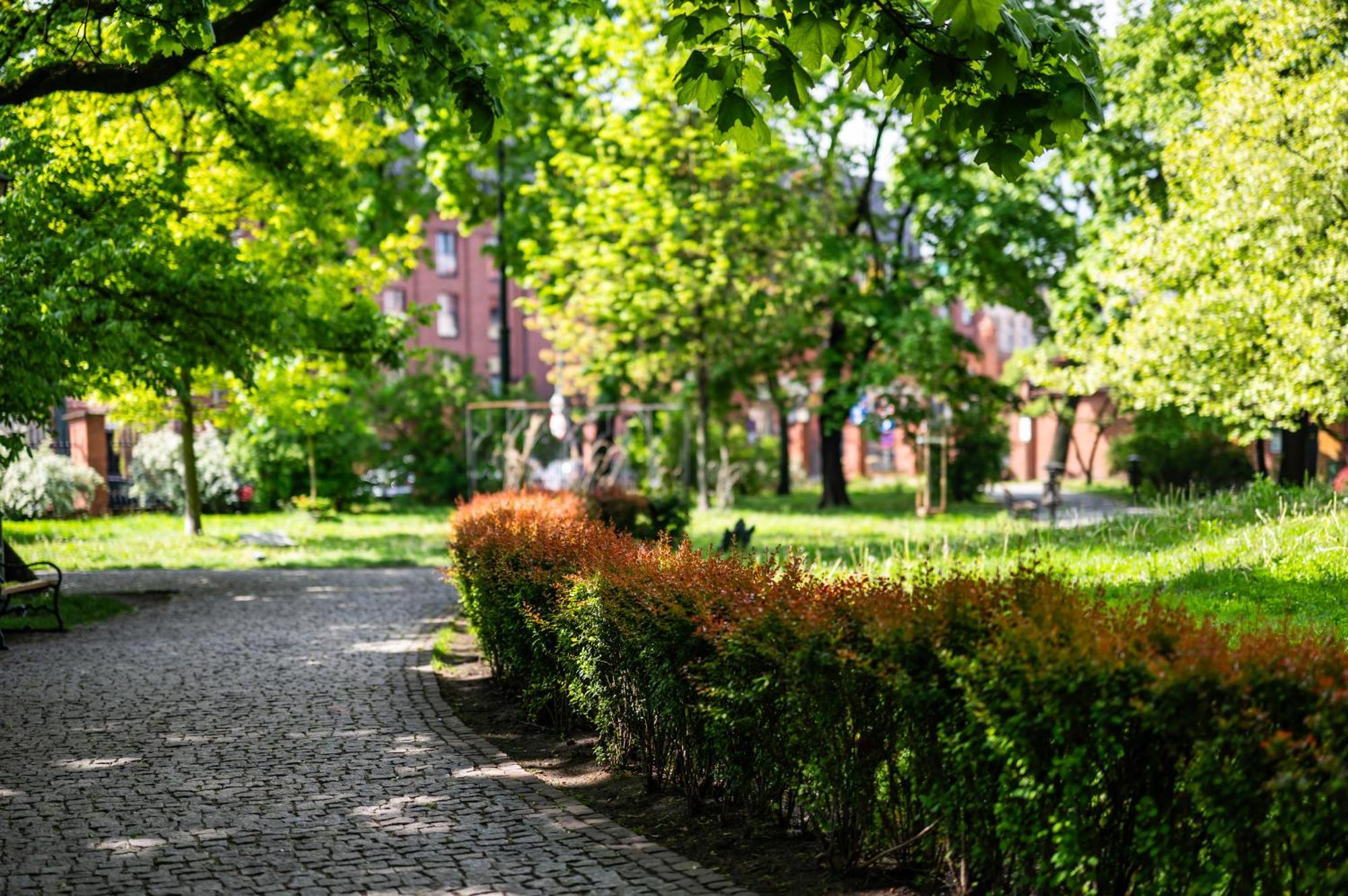 Wenecja Parking Gratis Moxy Te&Am Cracow Apartment Krakow Luaran gambar